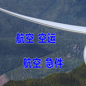 陇南成县空运公司快递-选东方航空和上海航空