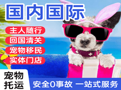 陇南成县空运公司国际宠物托运 【国